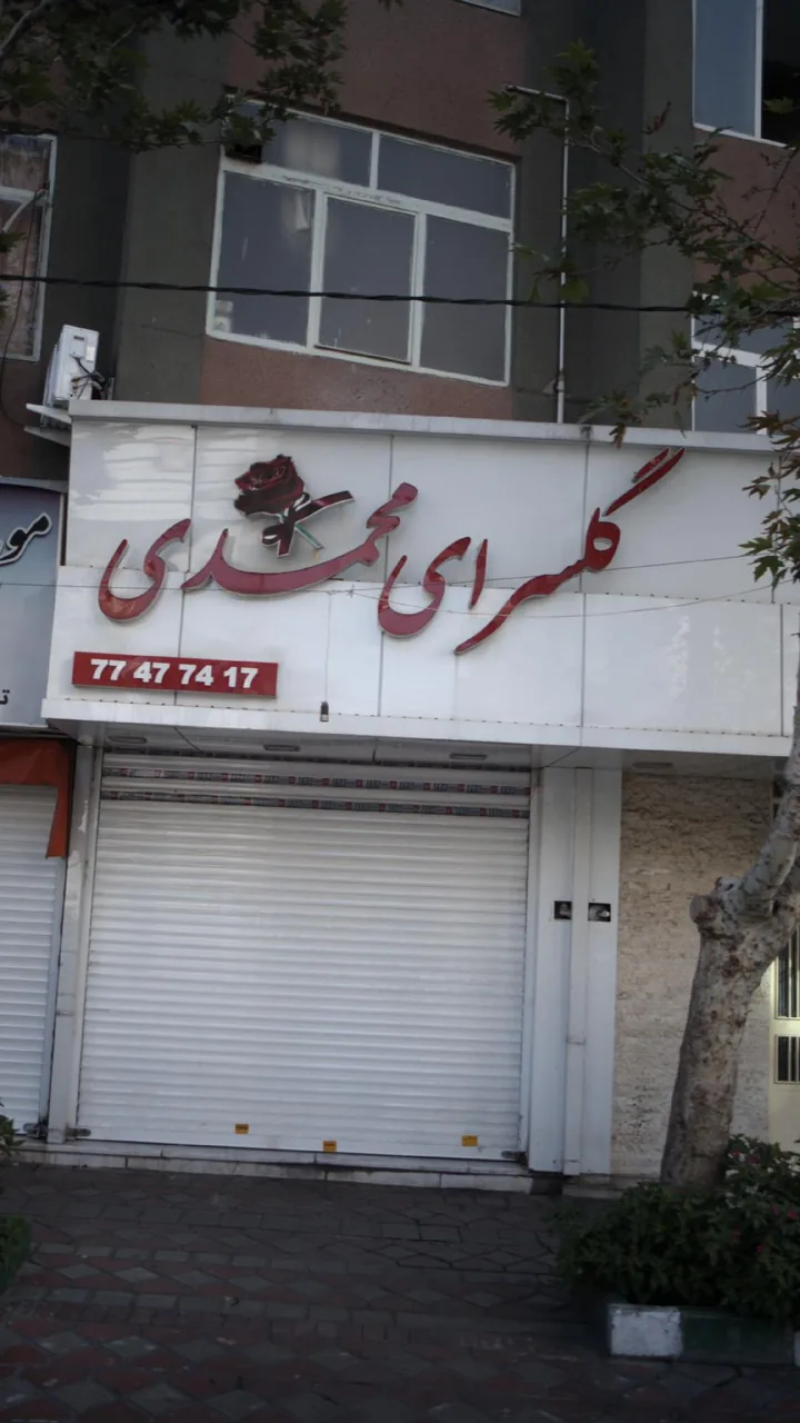 گلسرای محمدی - تصویر 6