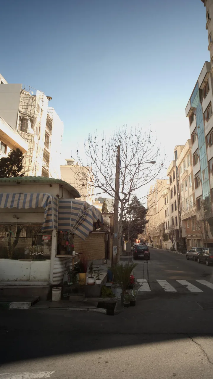 گلفروشی - تصویر 3
