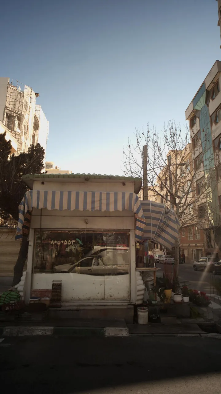 گلفروشی - تصویر 4