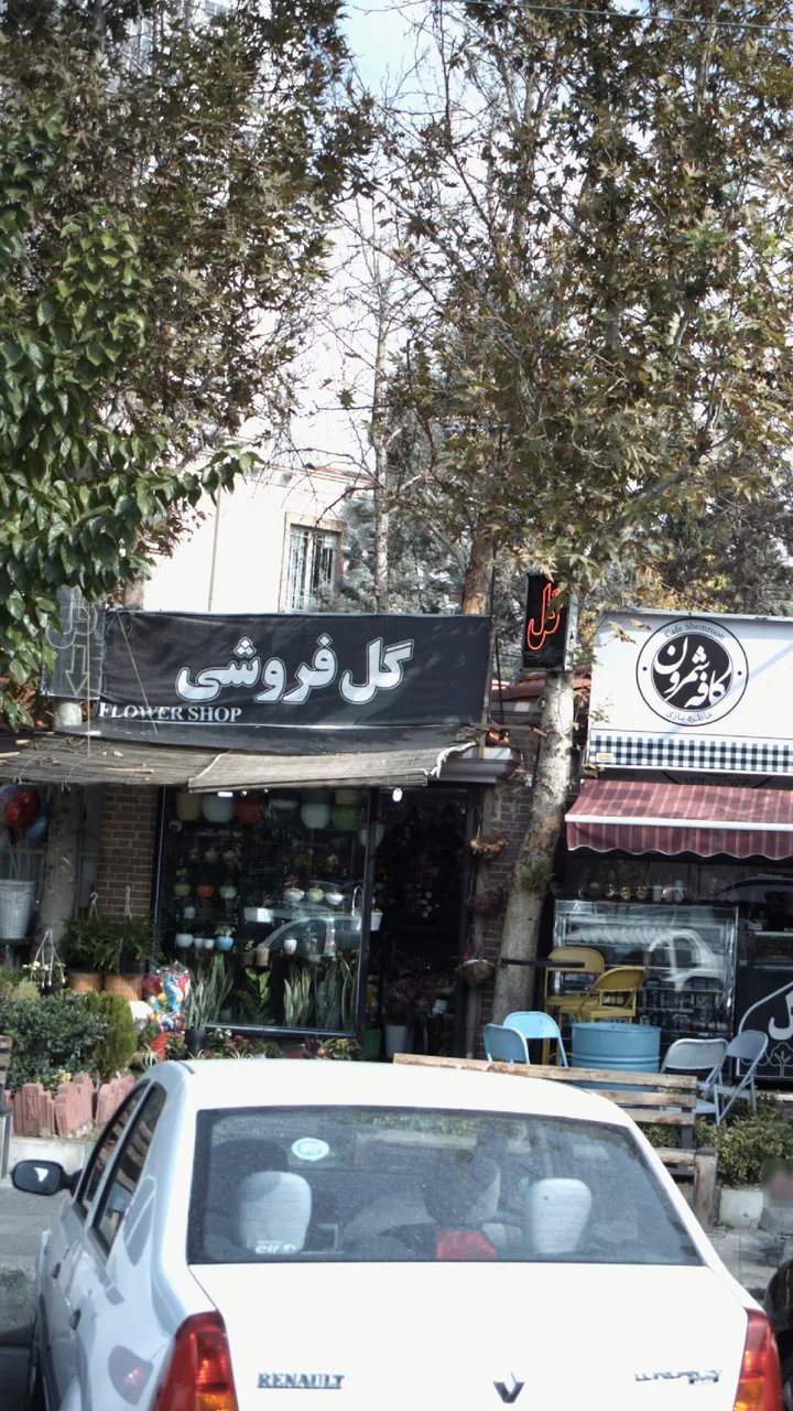 گل فروشی گل‌خانه - تصویر 2