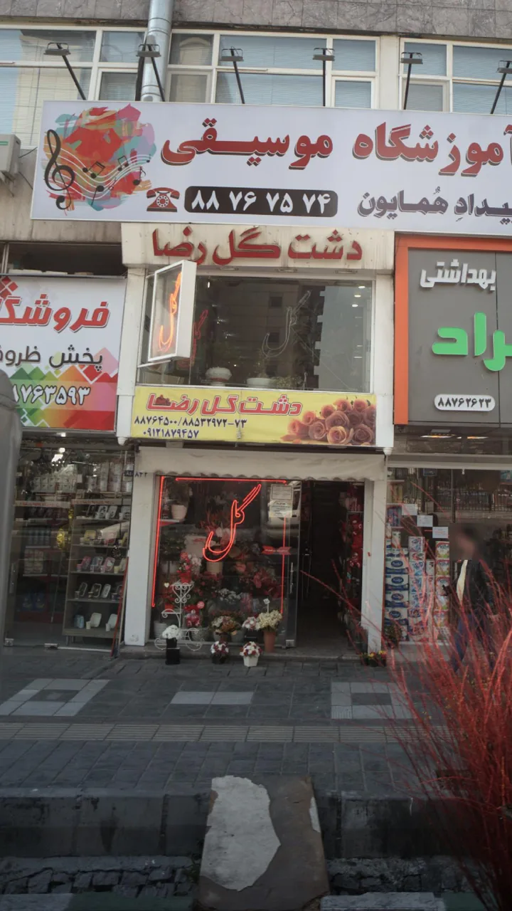 دشت گل رضا