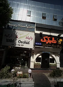 گل فروشی وایلد ارکید