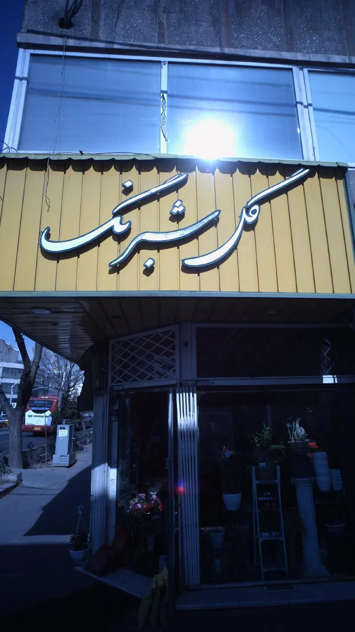 گل شبرنگ - گل‌فروشی در تهران - تصویر 2