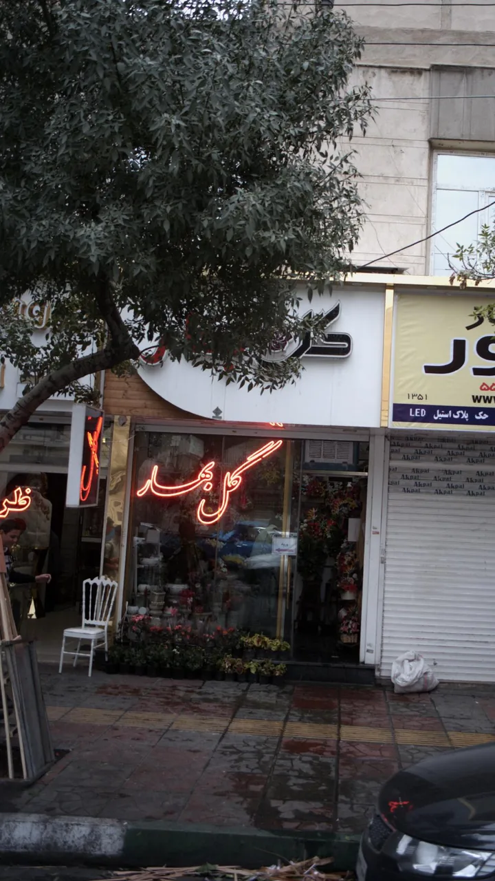 گل بهار