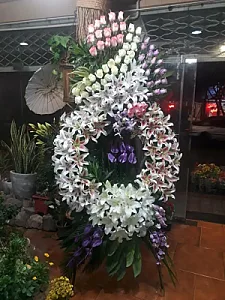 گل فروشی آدنیوم