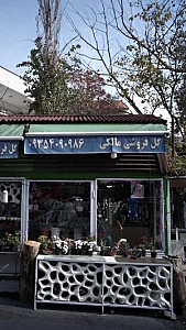 گل فروشی مالکی