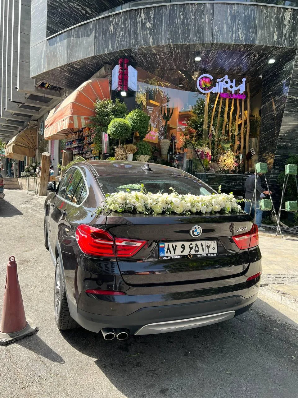 گلفروشی نیلوفر آبی - تصویر 2