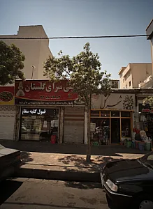 شهر گل
