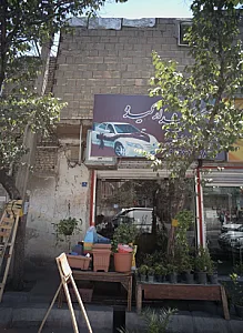 گل کده زَر