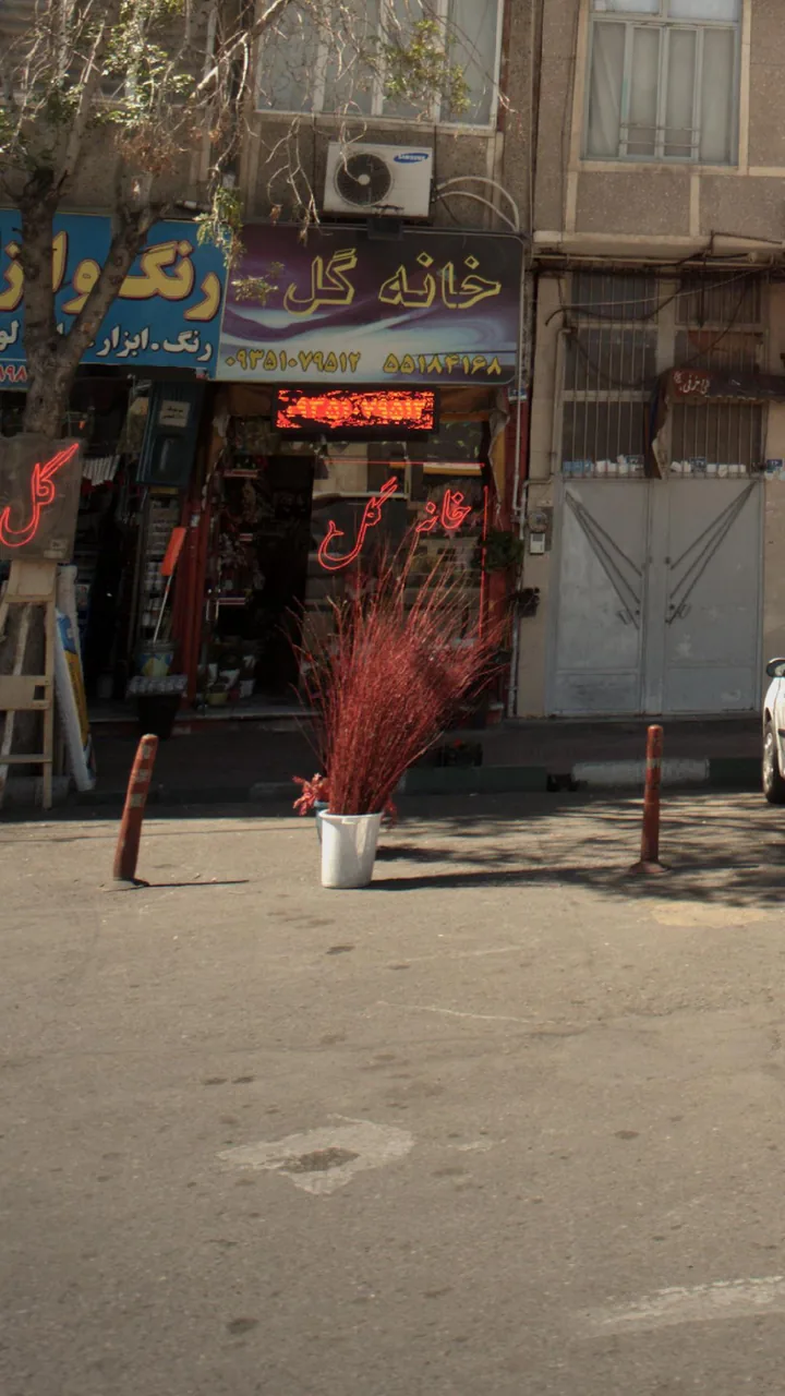 خانه گل