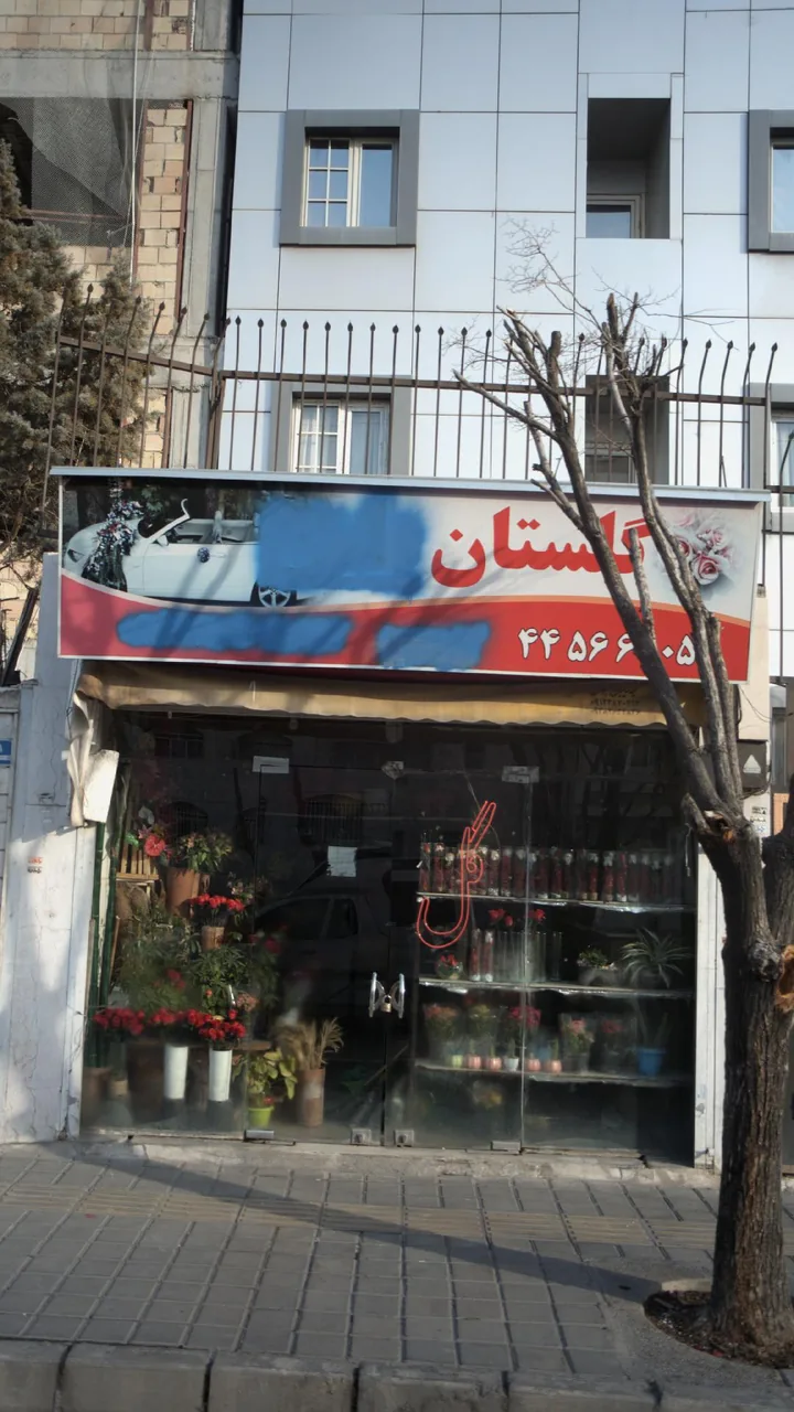 گلستان - تصویر 2
