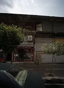 گل یخ