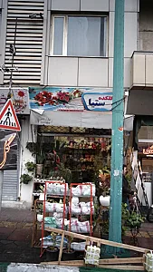 گلکده ستیا