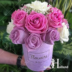 گل فروشی اینترنتی گل هلند