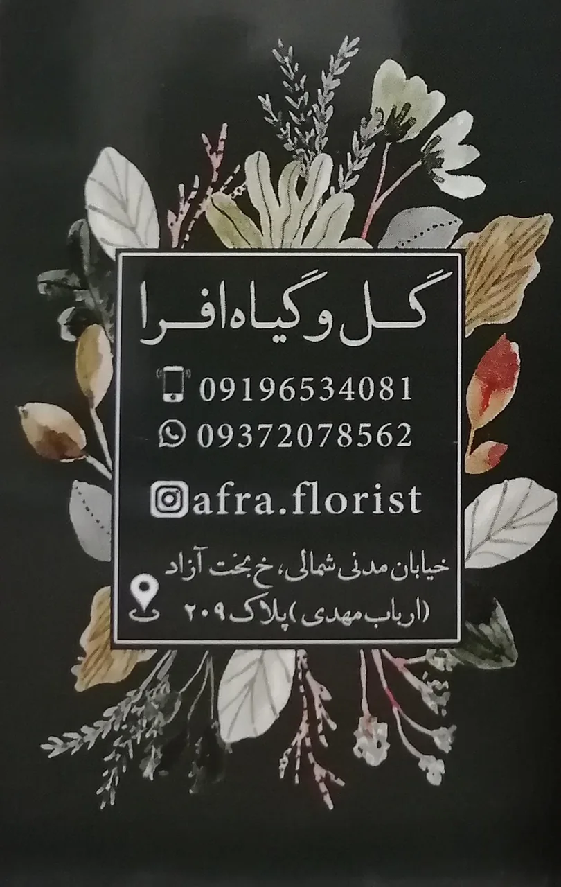 گل و گیاه افرا - گل‌فروشی در تهران - تصویر 3