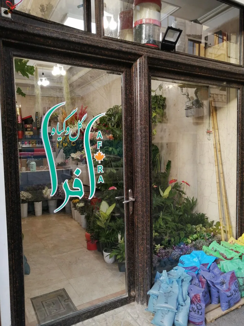 گل و گیاه افرا - گل‌فروشی در تهران - تصویر 4
