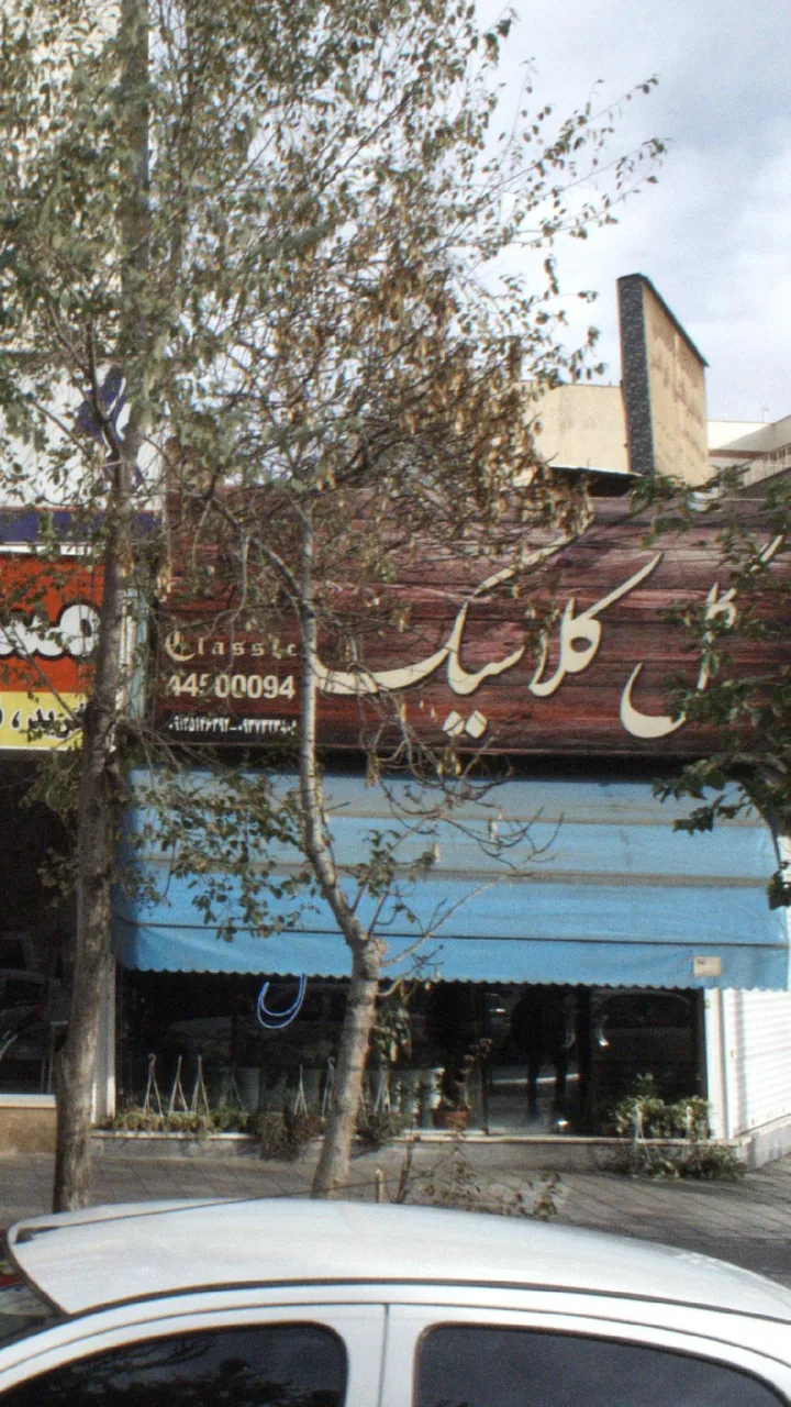 گل کلاسیک