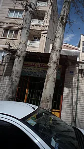 فروشگاه گلستان