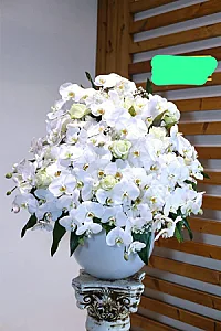 گل فروشی چیچک