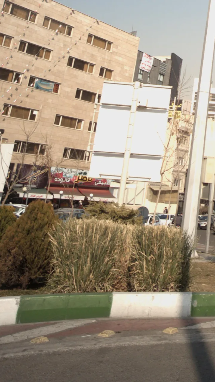 گلفروشی گلبانگ