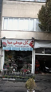 گل فروشی مینا