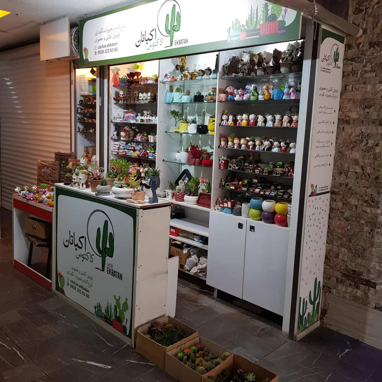 کاکتوس اکباتان