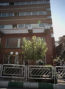 گل هستی