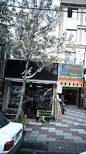 گل بهار