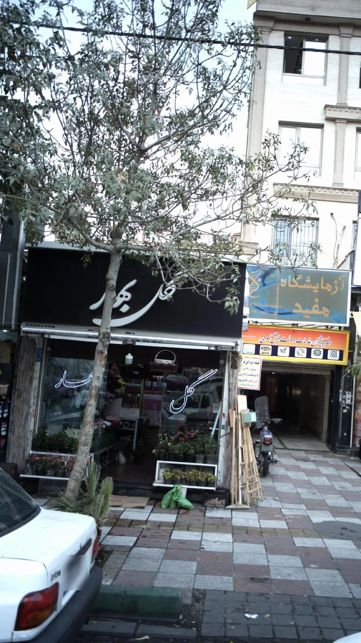 گل بهار