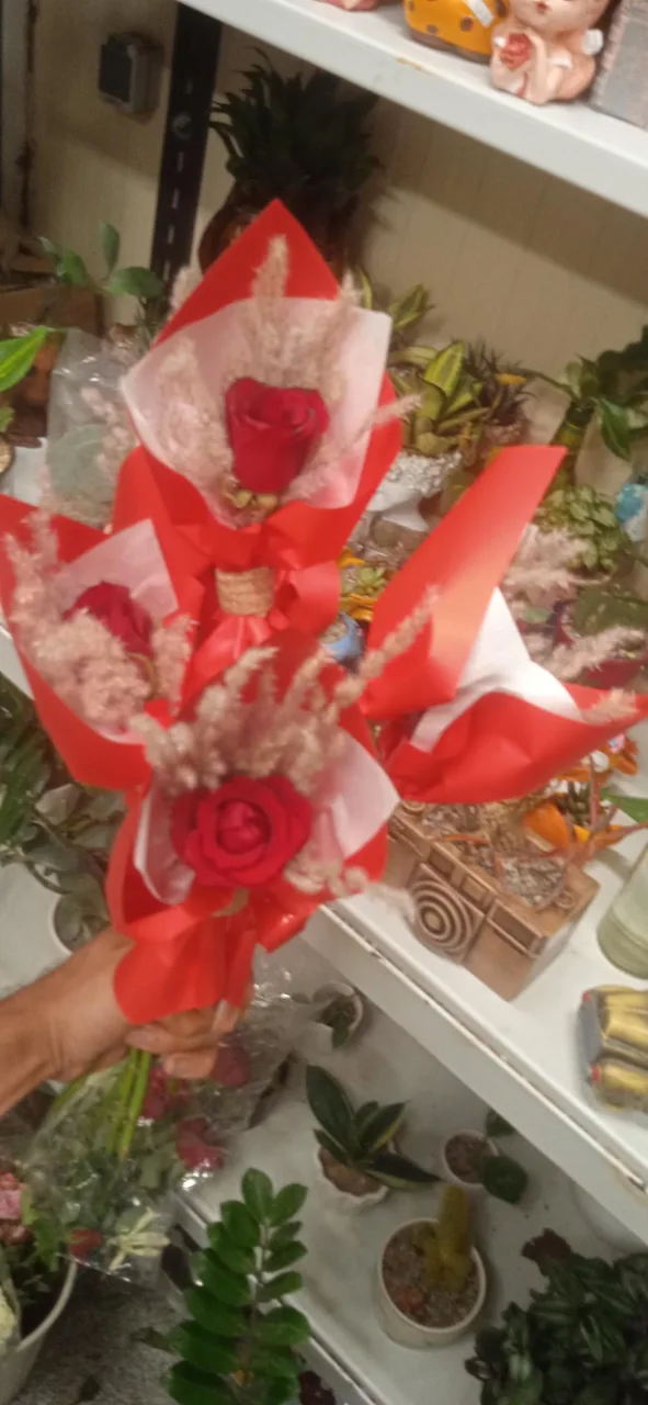 گلفروشی سَروک