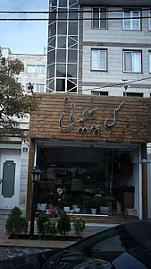 گل پیونی