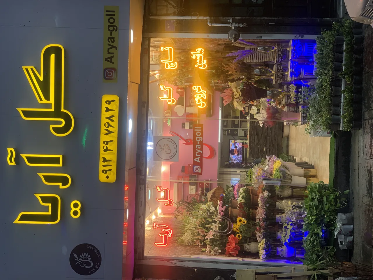 گل آریا - تصویر 4