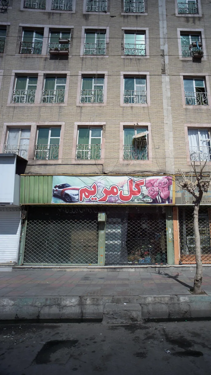 گل مریم
