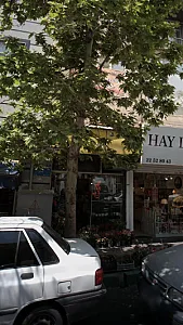 گلفروشی گل