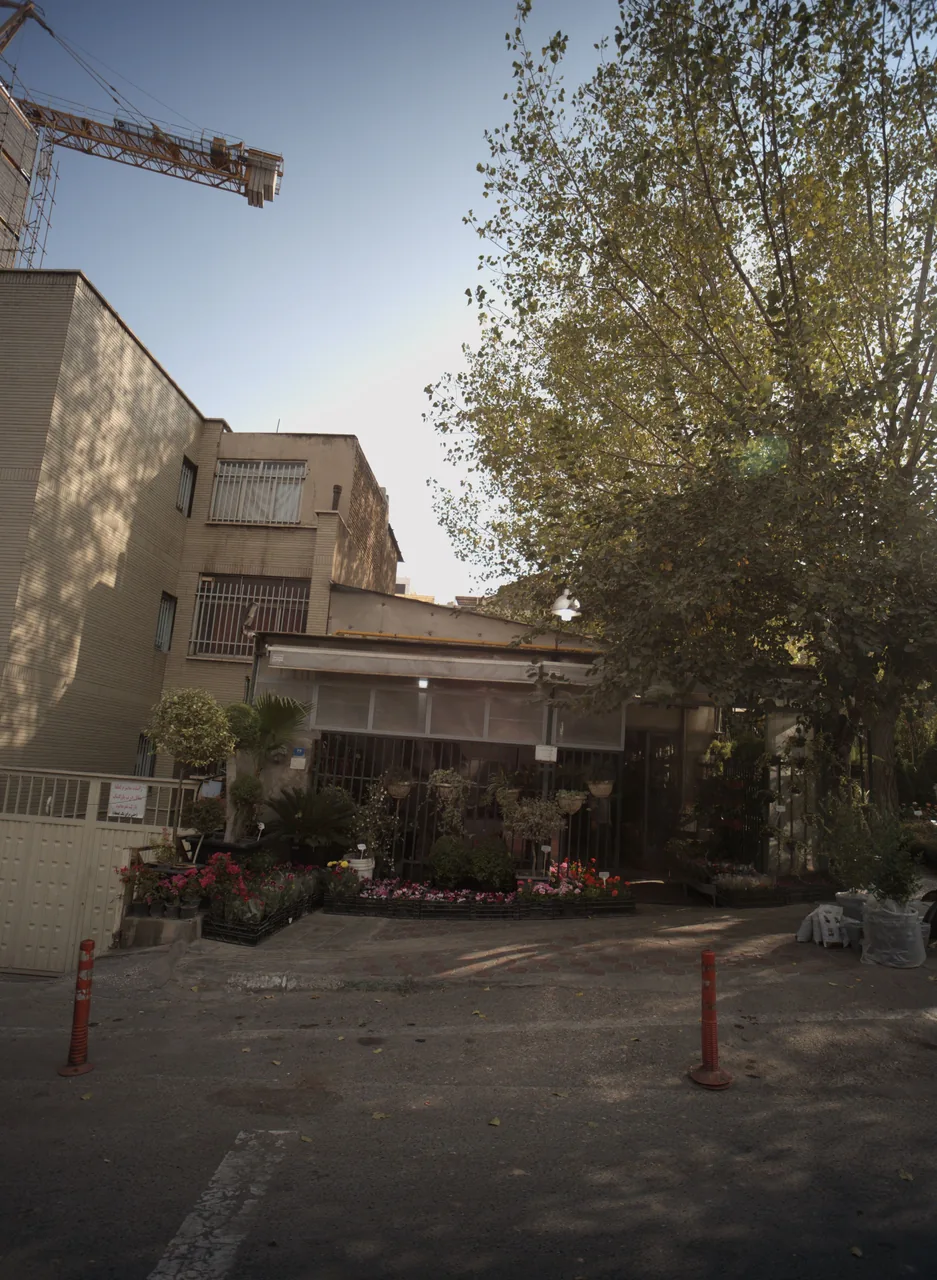 فروشگاه گل و گیاه