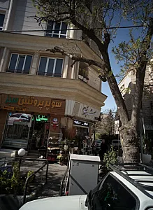 گلفروشی شیلان