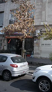 گل سرای آلسترو مریا