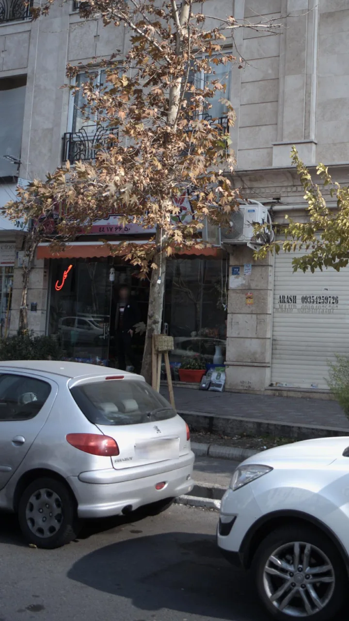 گل سرای آلسترو مریا