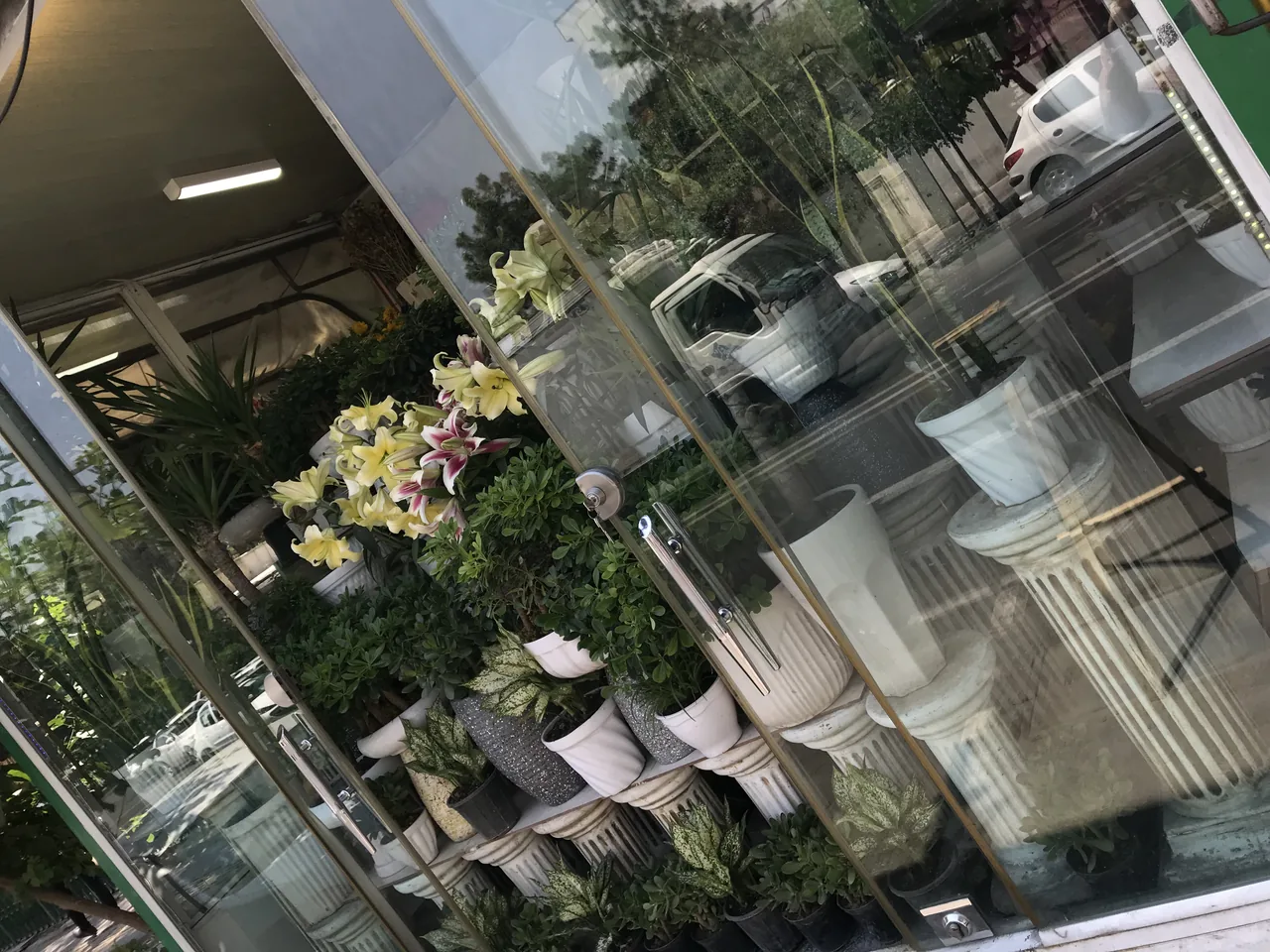 گل فروشی - تصویر 2