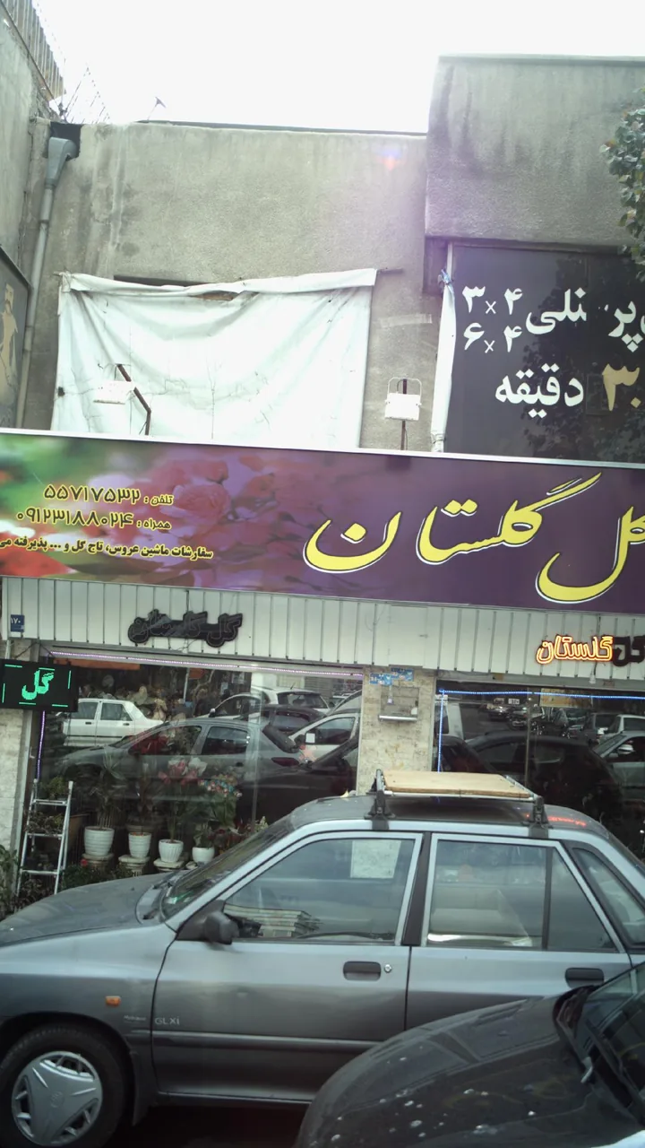 گل گلستان