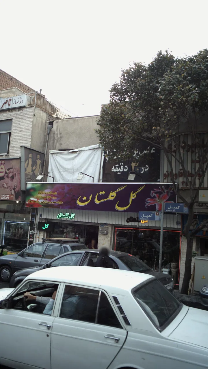 گل گلستان - تصویر 2