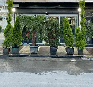 گالری گلبرگ