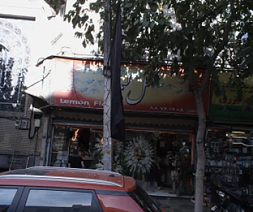 گل لیمو