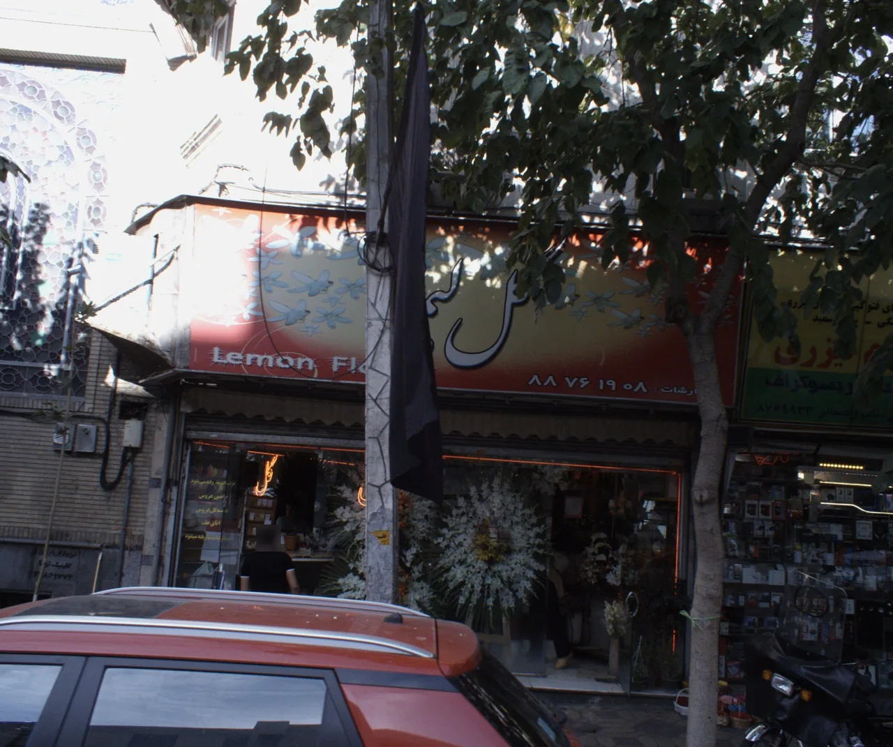 گل لیمو