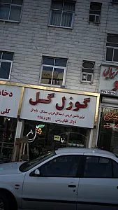 گوزل گل