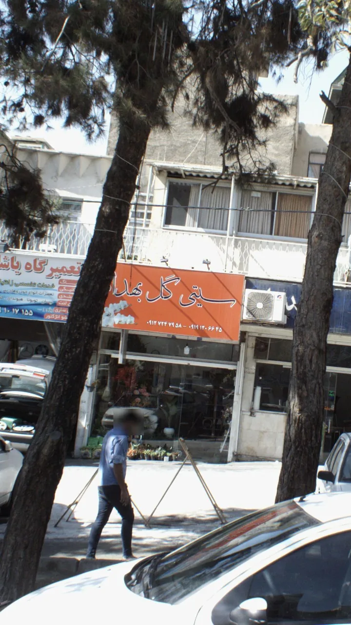 سیتی گل بهدا