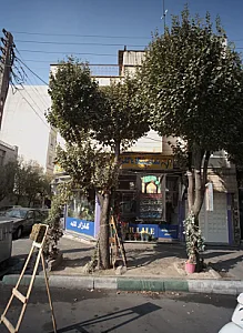 نمایشگاه گلزار لاله