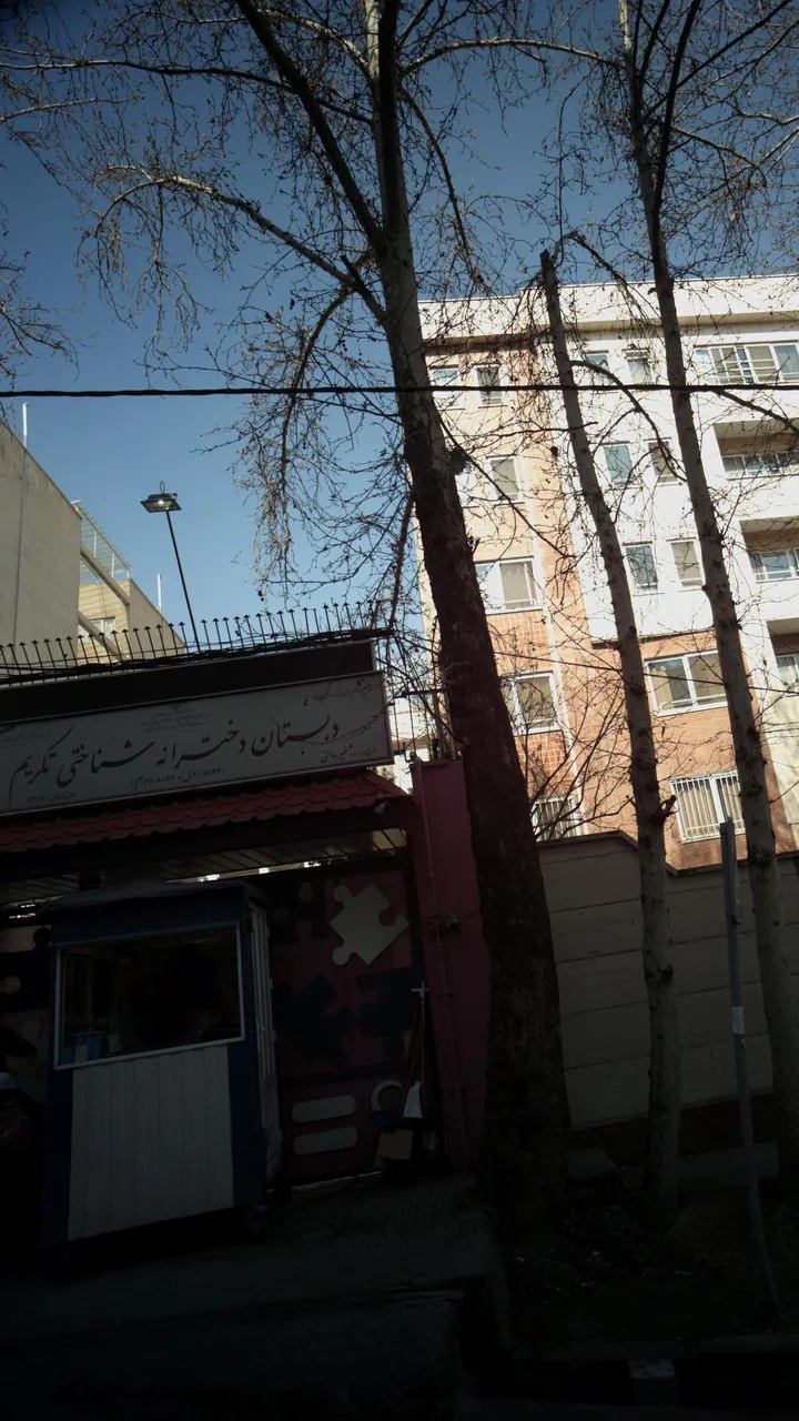 دبستان دخترانه سلاله جوان - تصویر 4