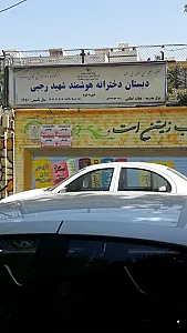 دبستان دخترانه هوشمند شهید رجبی