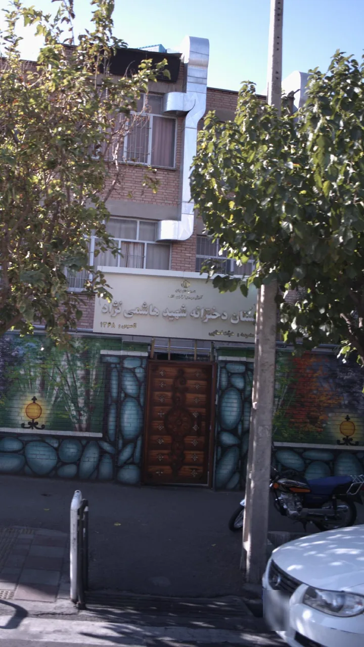 دبستان دخترانه شهید هاشمی نژاد تهران - تصویر 2